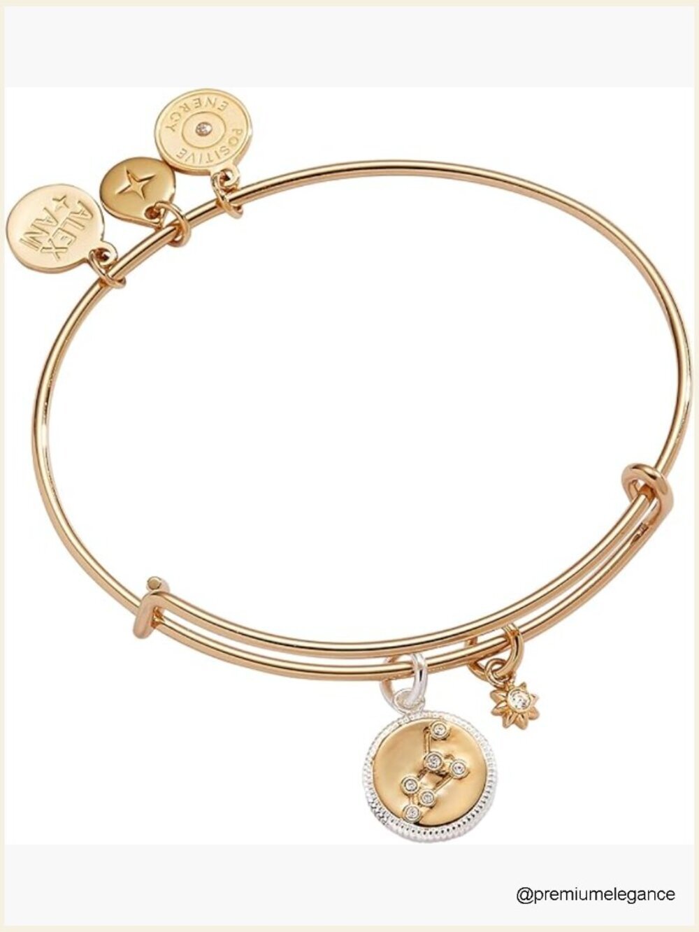 Sagittarius Zodiac Charm Bangle - Adjustable, Two-Tone, Nickel-Free